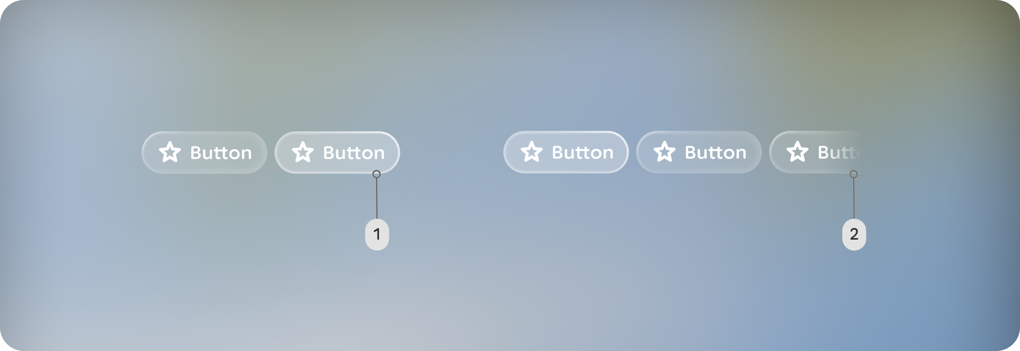 button group
