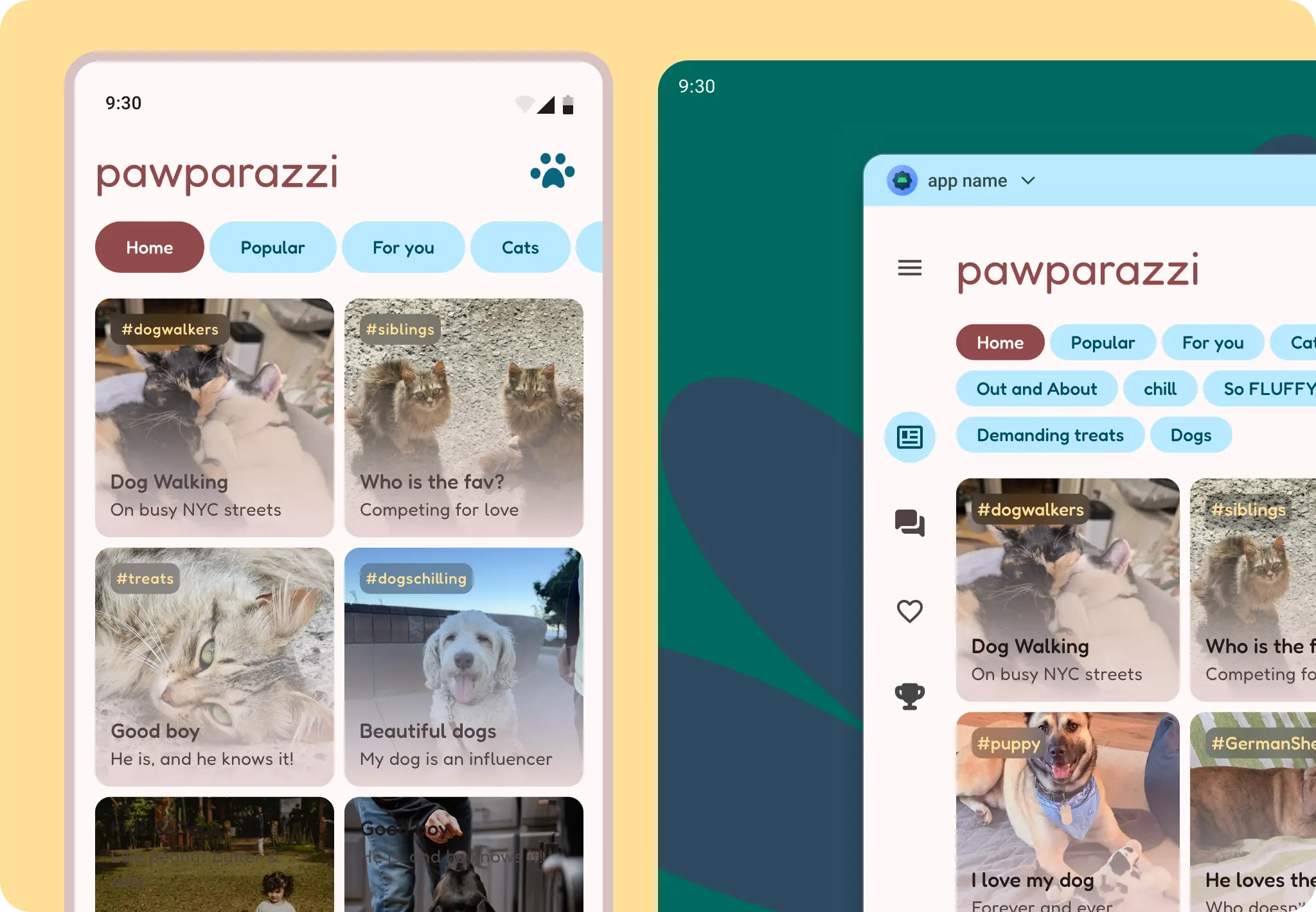 Pawparazzi case study